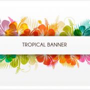 Thiết kế - TNB Construction Design